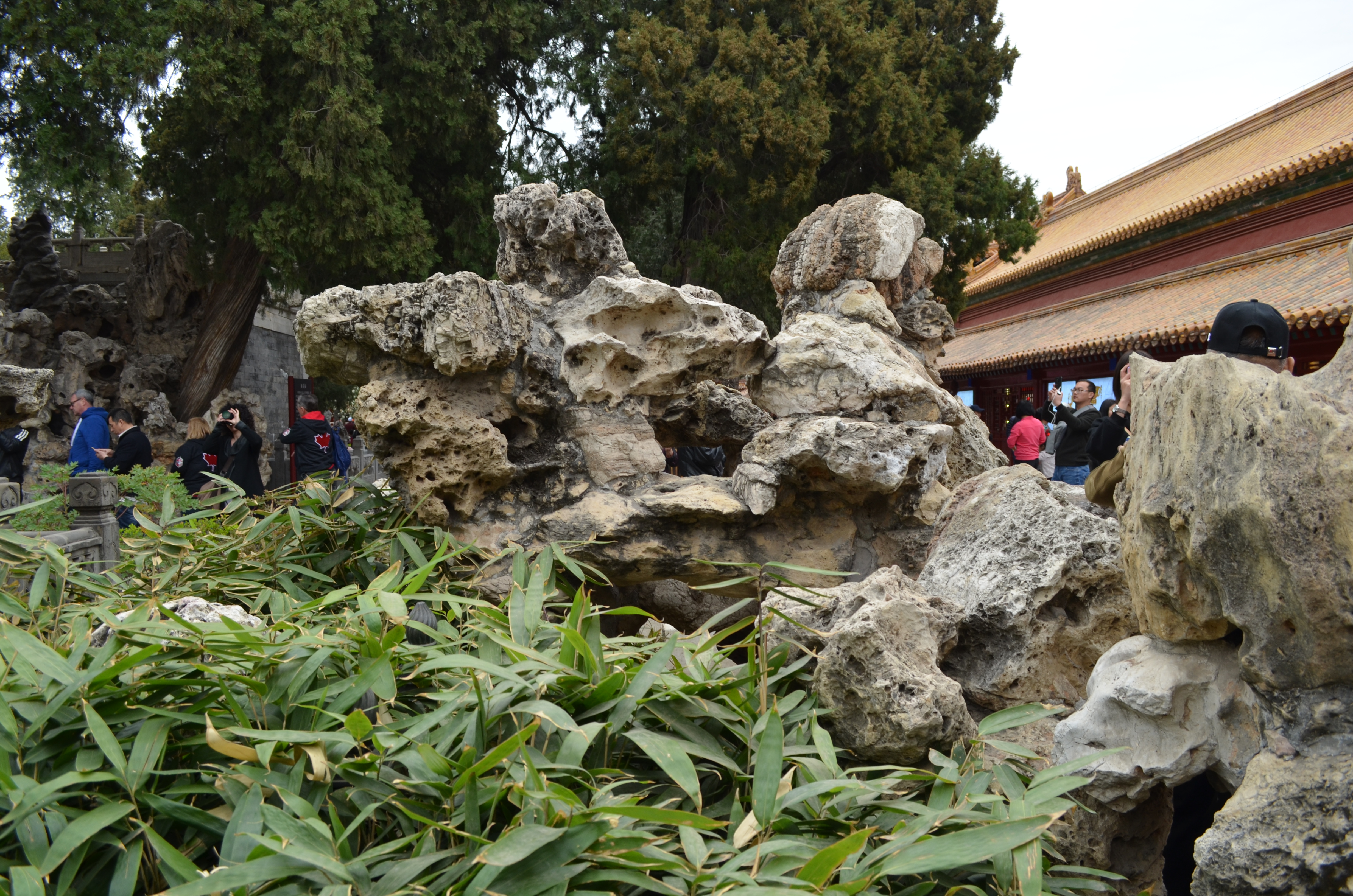 ./2018/03 - Viking China/06 - Forbidden City/DSC_10080.JPG
